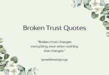 Broken Trust Quotes Broken Trust Quotes